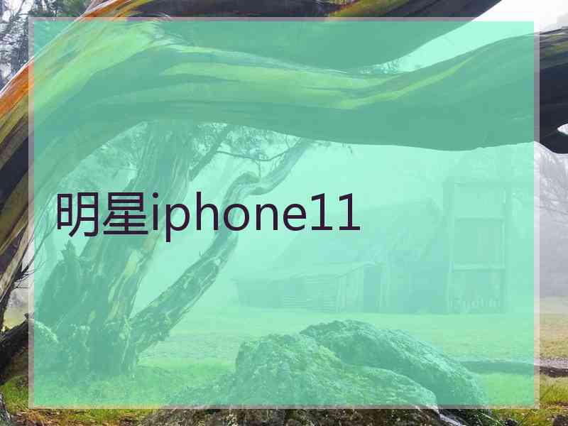 明星iphone11