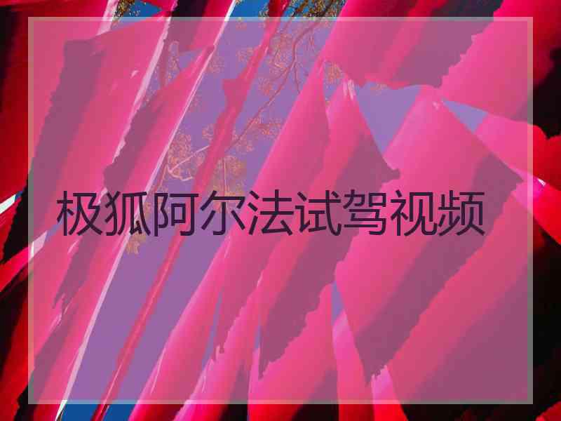 极狐阿尔法试驾视频