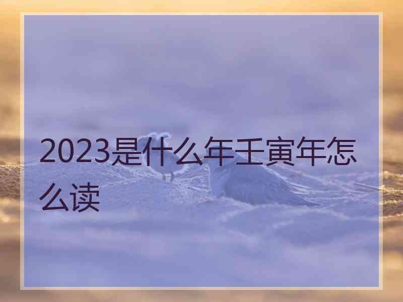 2023是什么年壬寅年怎么读