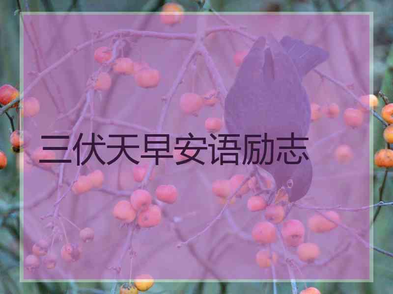 三伏天早安语励志