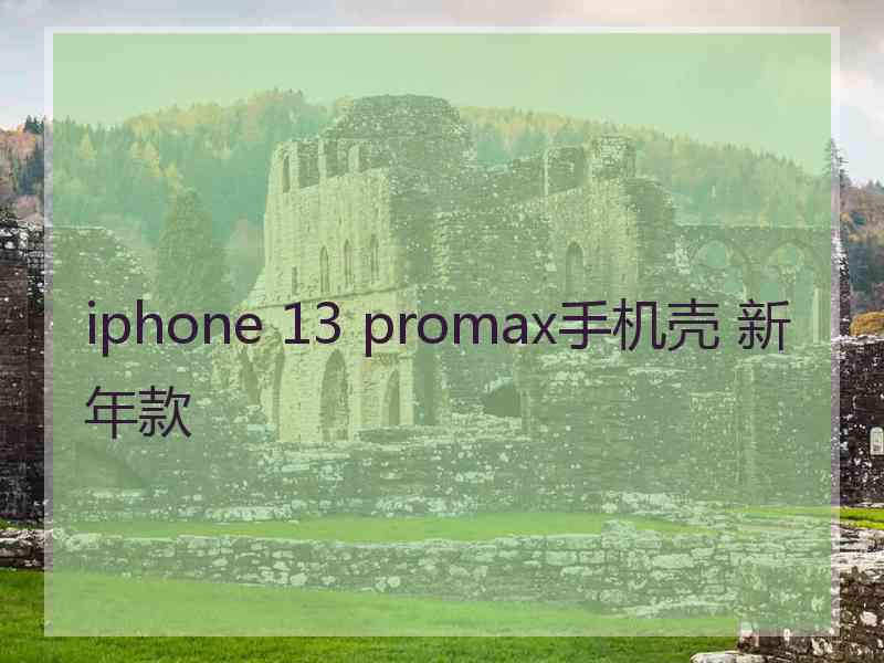 iphone 13 promax手机壳 新年款