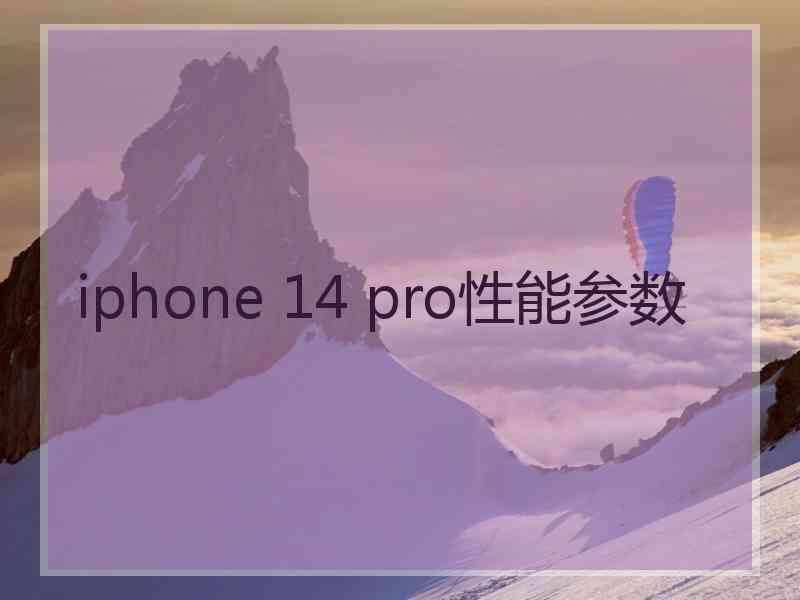 iphone 14 pro性能参数