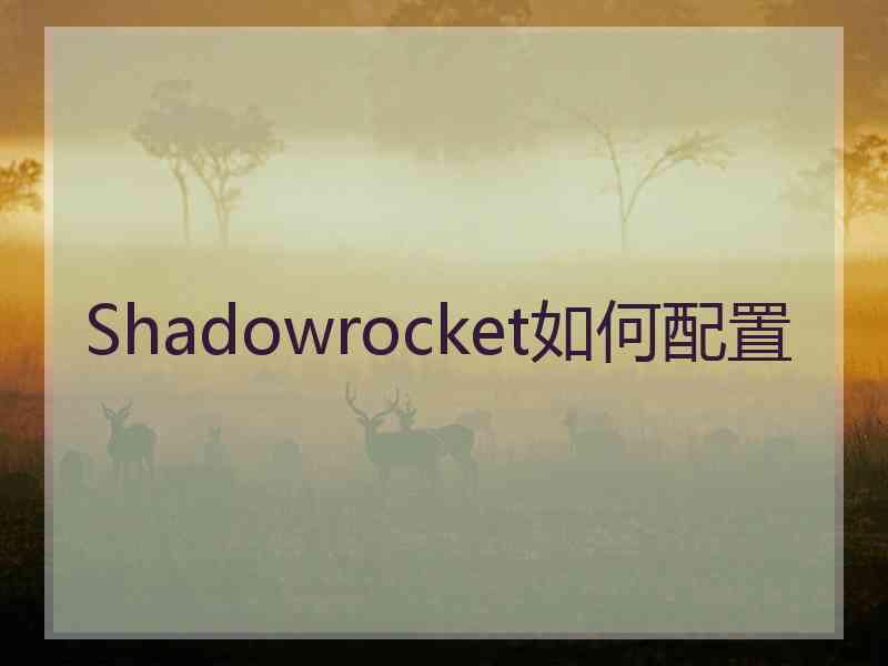 Shadowrocket如何配置