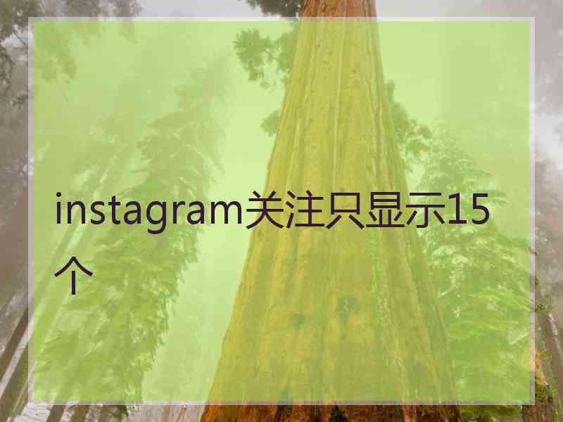 instagram关注只显示15个