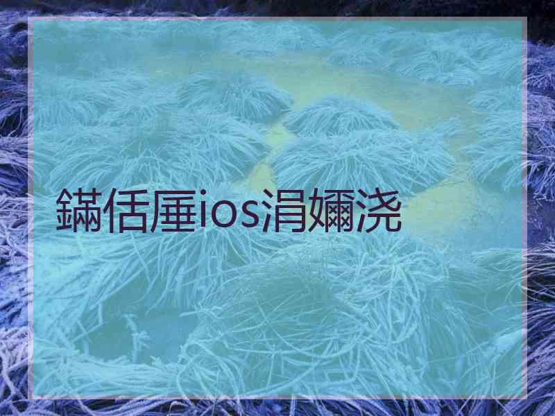 鏋佸厜ios涓嬭浇