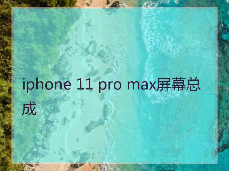 iphone 11 pro max屏幕总成