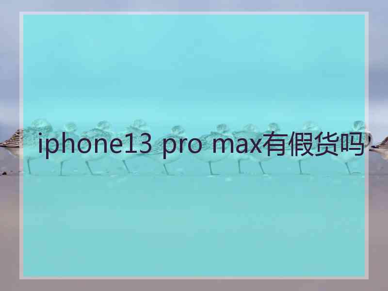 iphone13 pro max有假货吗