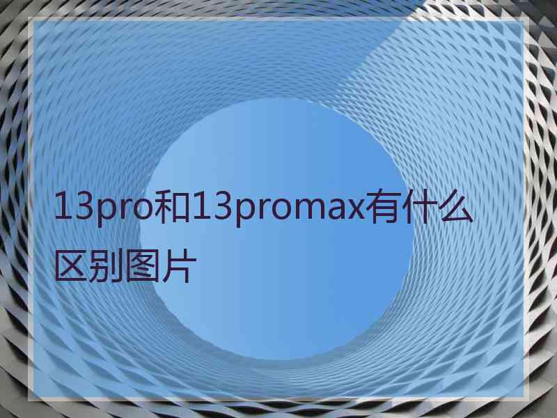 13pro和13promax有什么区别图片