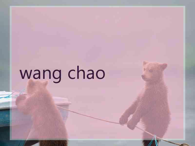 wang chao