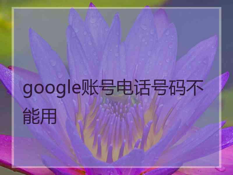 google账号电话号码不能用