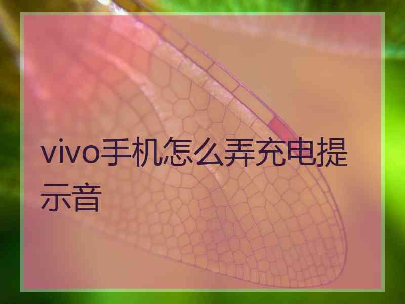 vivo手机怎么弄充电提示音