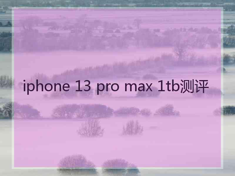 iphone 13 pro max 1tb测评