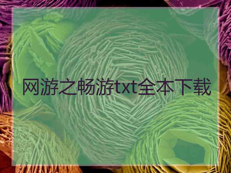 网游之畅游txt全本下载