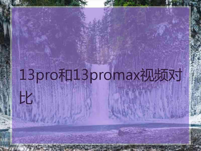 13pro和13promax视频对比