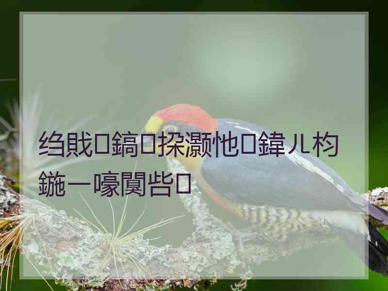 绉戝鎬挅灏忚鍏ㄦ枃鍦ㄧ嚎闃呰