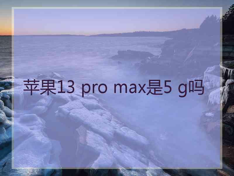 苹果13 pro max是5 g吗