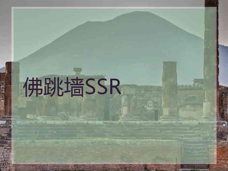 佛跳墙SSR