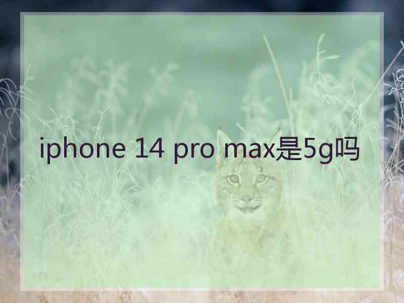 iphone 14 pro max是5g吗