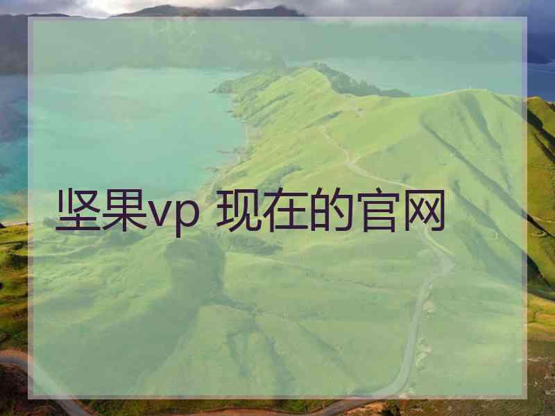 坚果vp 现在的官网