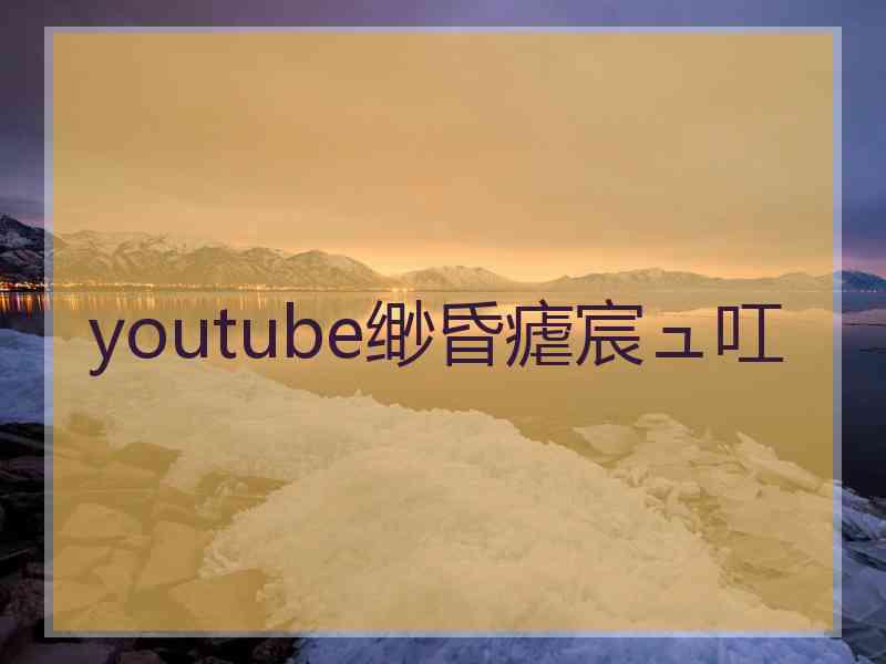 youtube缈昏瘧宸ュ叿