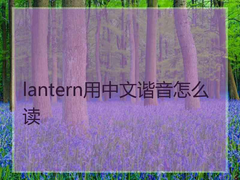 lantern用中文谐音怎么读