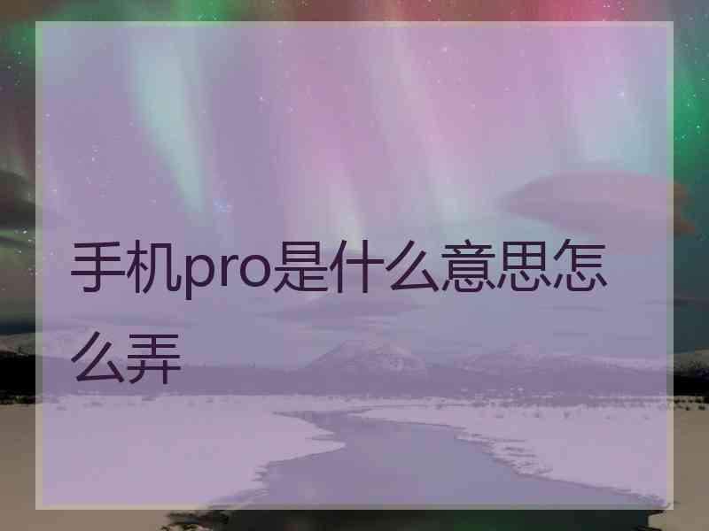 手机pro是什么意思怎么弄