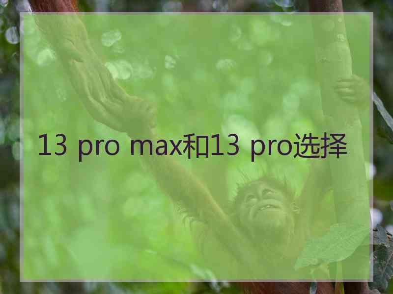 13 pro max和13 pro选择