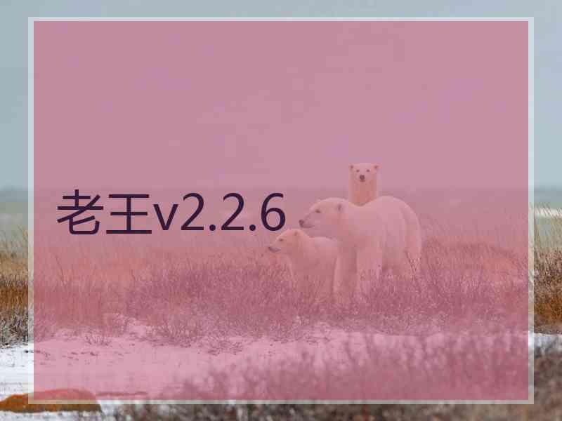 老王v2.2.6