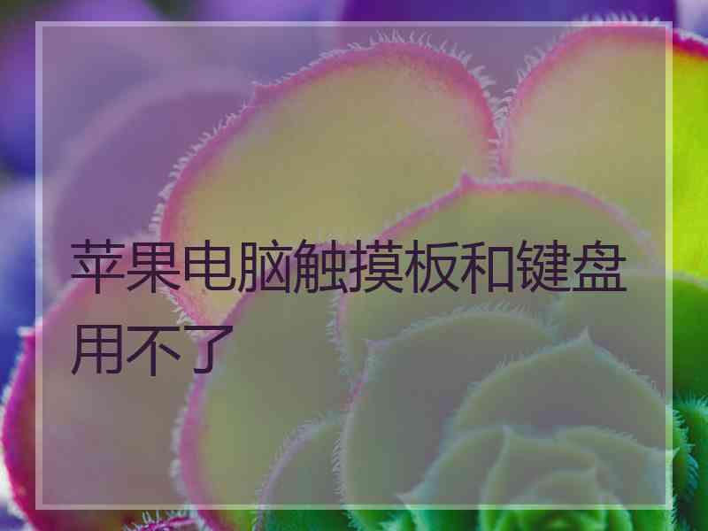 苹果电脑触摸板和键盘用不了