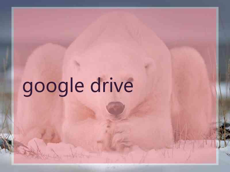 google drive