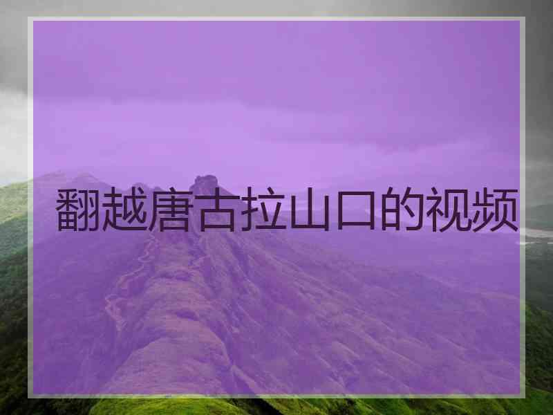 翻越唐古拉山口的视频