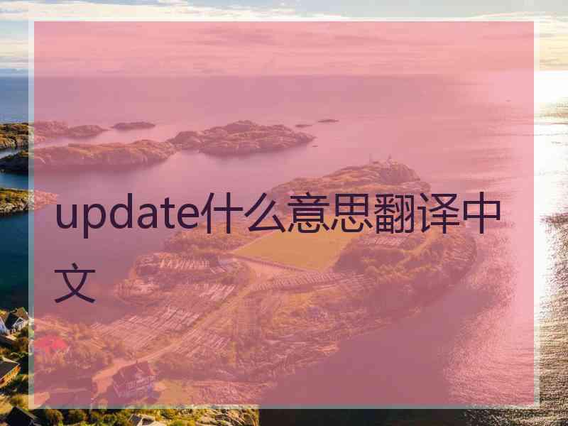 update什么意思翻译中文