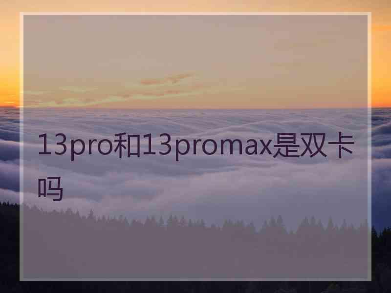 13pro和13promax是双卡吗