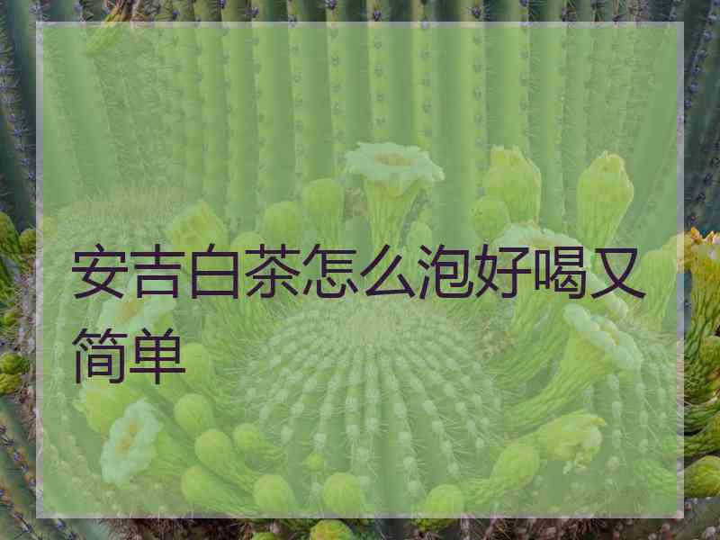 安吉白茶怎么泡好喝又简单