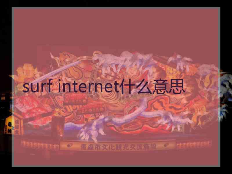 surf internet什么意思