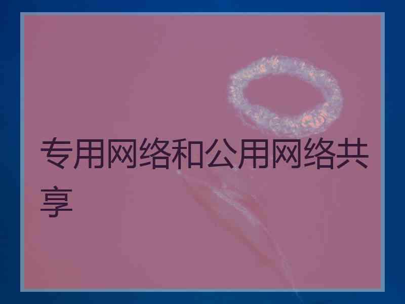 专用网络和公用网络共享