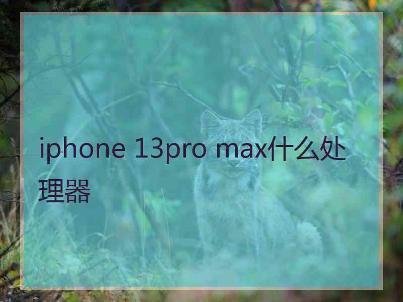 iphone 13pro max什么处理器