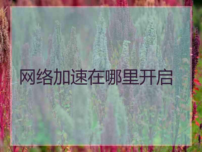 网络加速在哪里开启