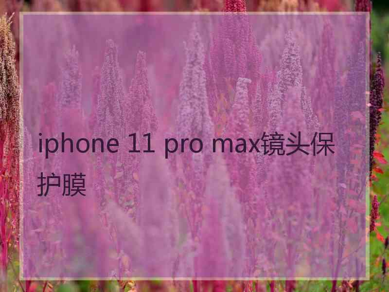 iphone 11 pro max镜头保护膜