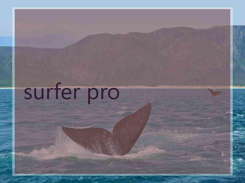 surfer pro