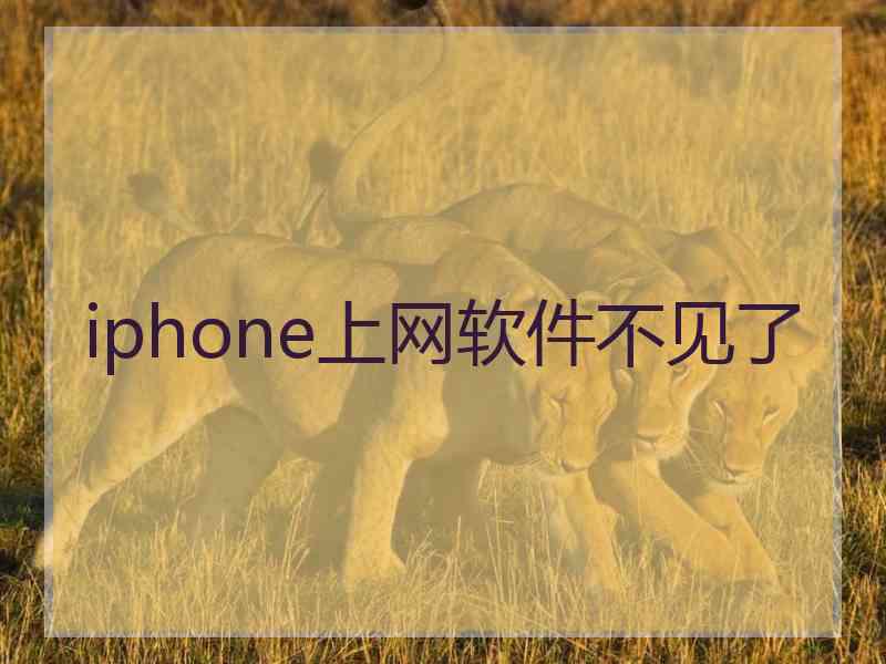 iphone上网软件不见了