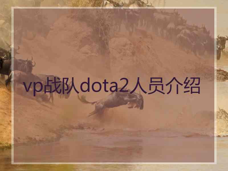 vp战队dota2人员介绍