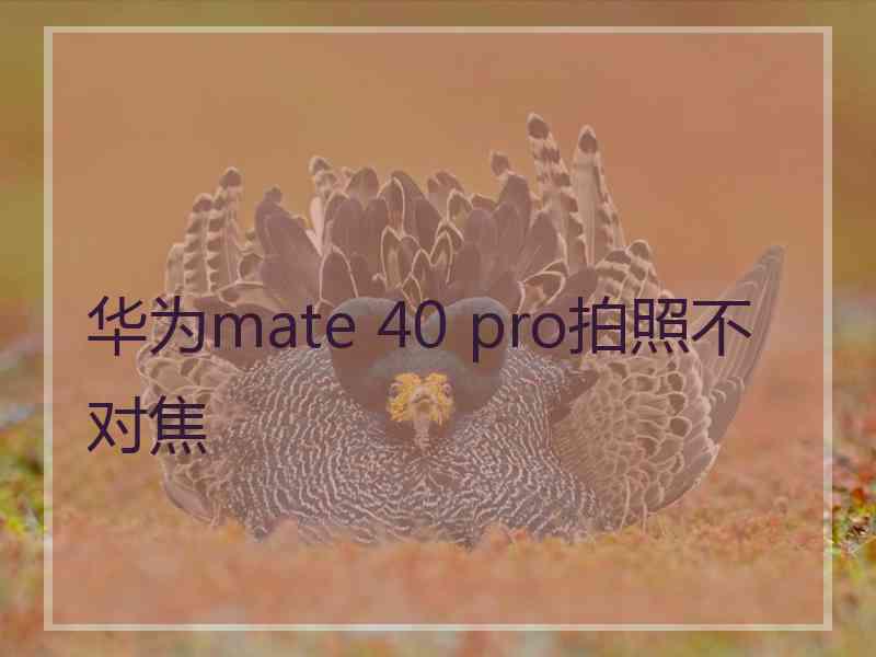 华为mate 40 pro拍照不对焦