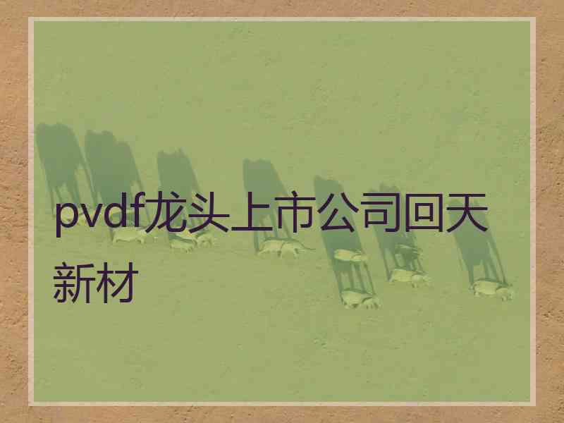 pvdf龙头上市公司回天新材