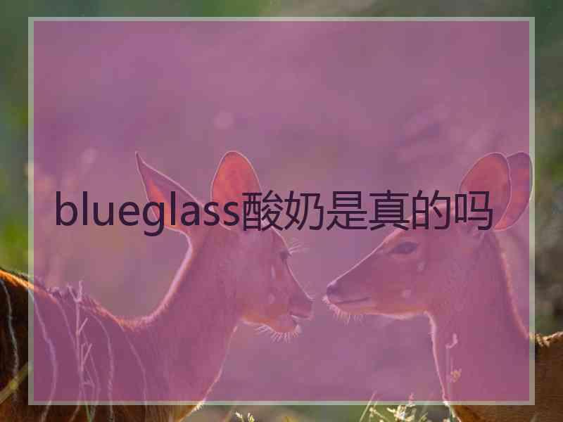 blueglass酸奶是真的吗