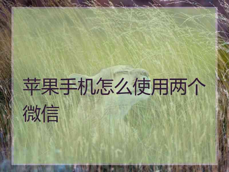 苹果手机怎么使用两个微信