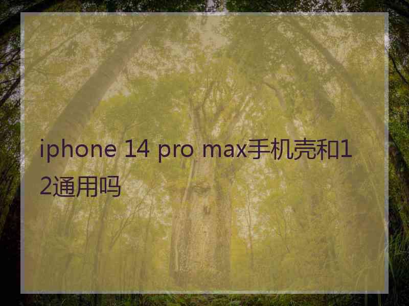 iphone 14 pro max手机壳和12通用吗