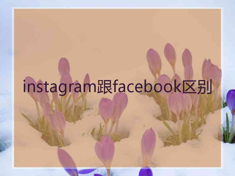 instagram跟facebook区别