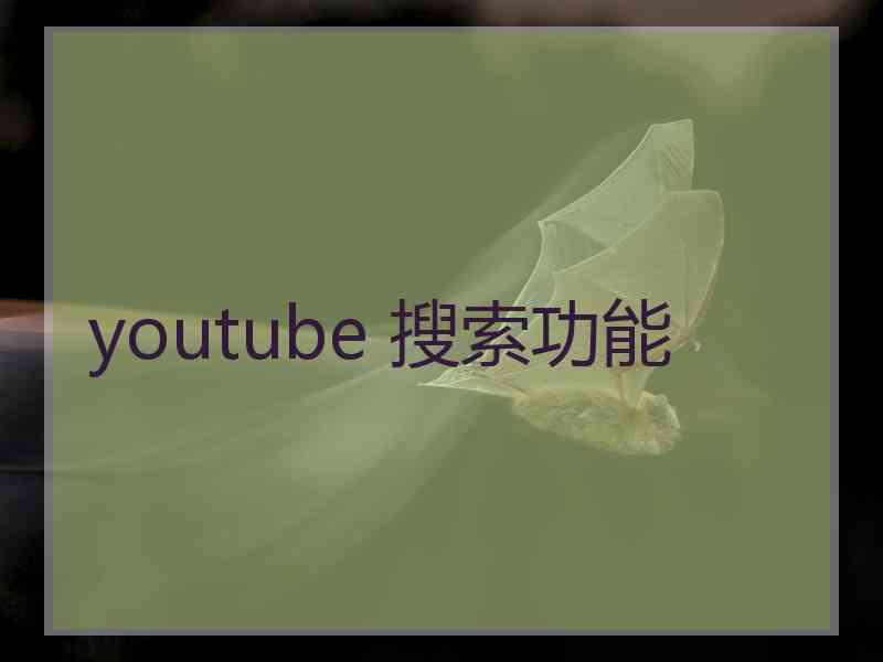 youtube 搜索功能