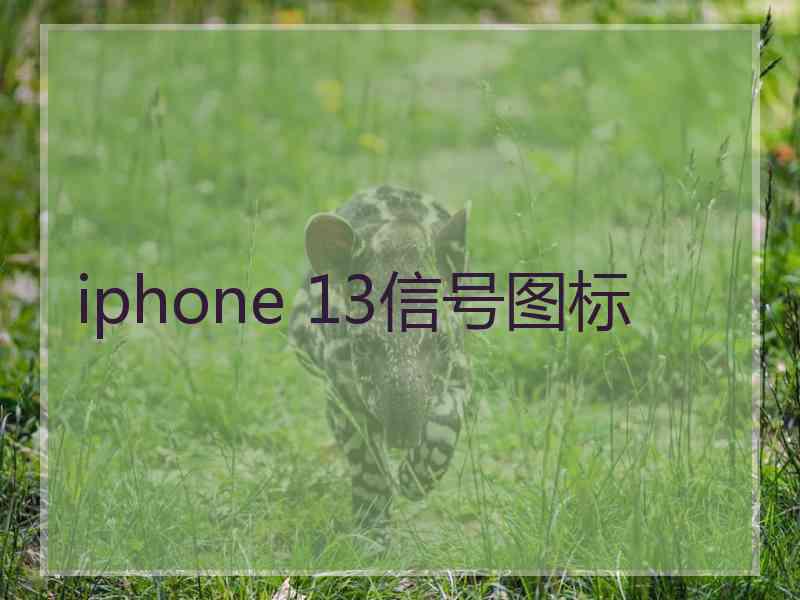 iphone 13信号图标